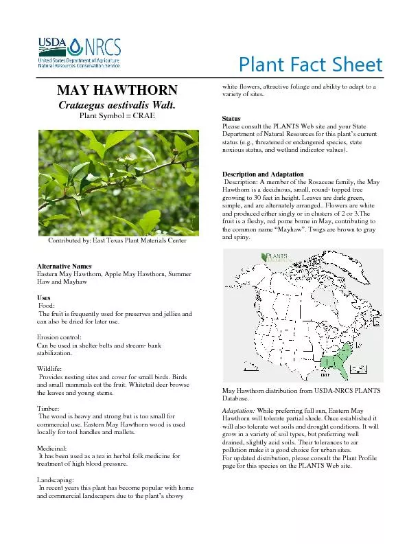 Plant Fact Sheet