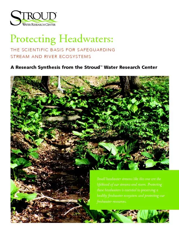 Protecting Headwaters: