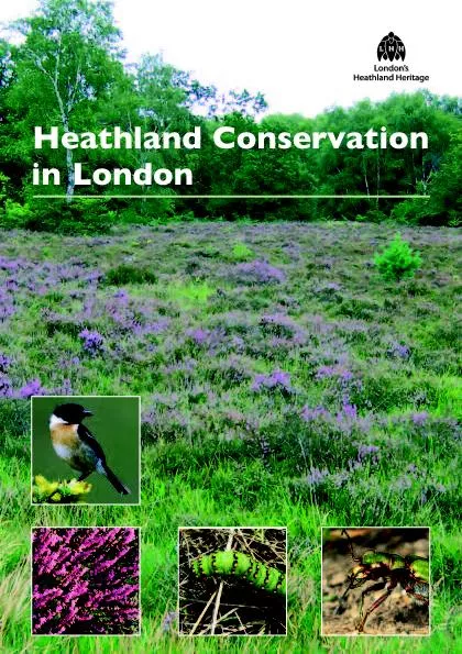 Heathland Conservation