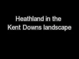 Heathland in the Kent Downs landscape