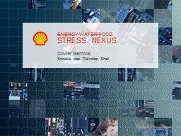 STRESS NEXUS