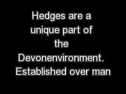 Hedges are a unique part of the Devonenvironment. Established over man