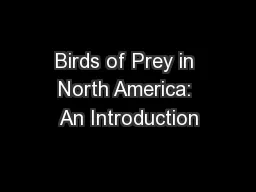 Birds of Prey in North America: An Introduction
