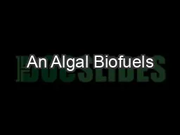 An Algal Biofuels
