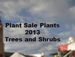 Plant Sale Plants