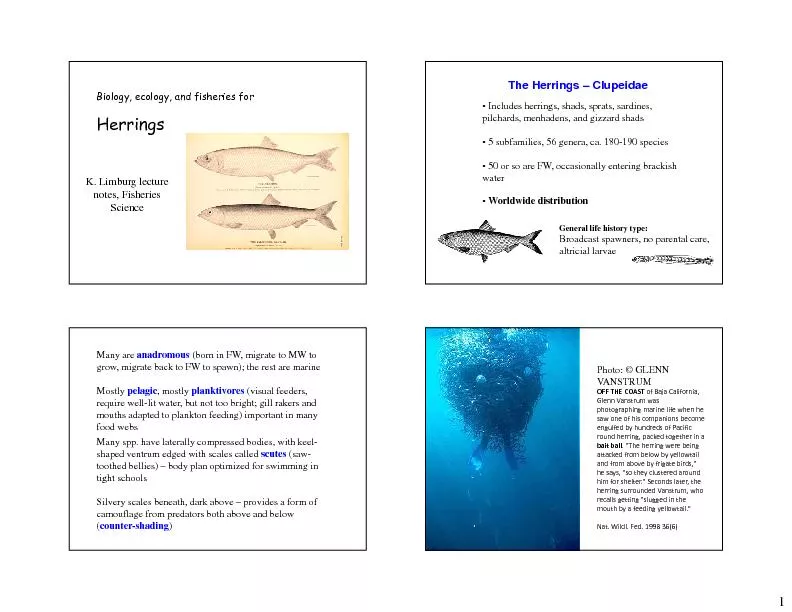 Biology, ecology, and fisheries for