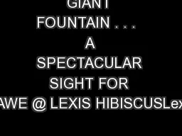 GIANT FOUNTAIN . . .  A SPECTACULAR SIGHT FOR AWE @ LEXIS HIBISCUSLexi