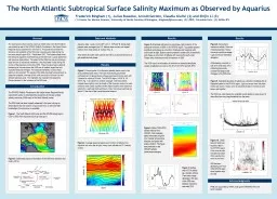 The North Atlantic Subtropical Surface Salinity