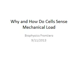 Why and How Do Cells Sense Mechanical Load