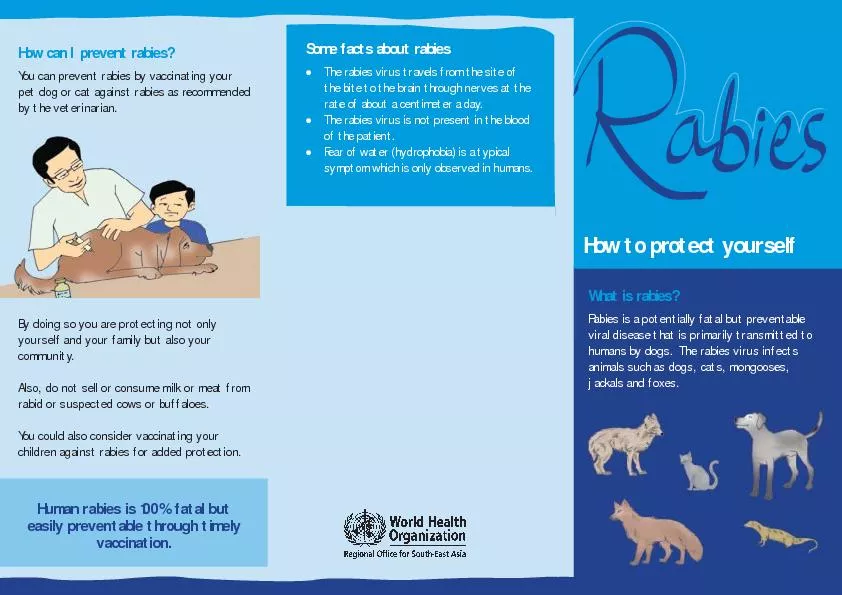 You can prevent rabies by vaccinating your pet dog or cat against rabi