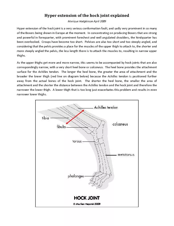 PDF-	\n	\r			\n\r thumbnail