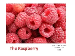 The Raspberry