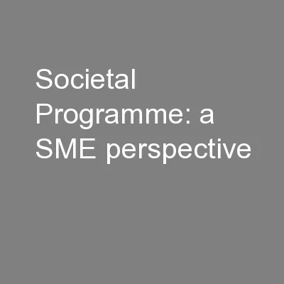 Societal Programme: a SME perspective