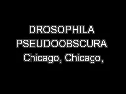DROSOPHILA PSEUDOOBSCURA Chicago, Chicago,