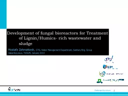 Development of fungal bioreactors for Treatment of Lignin/