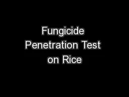 Fungicide Penetration Test on Rice
