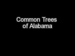 Common Trees of Alabama
