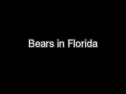 Bears in Florida