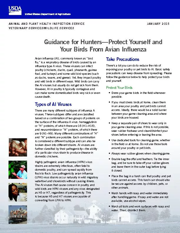 Guidance for Hunters—Protect Yourself and