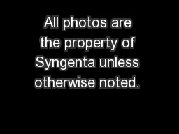 All photos are the property of Syngenta unless otherwise noted. 