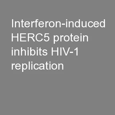 Interferon-induced HERC5 protein inhibits HIV-1 replication