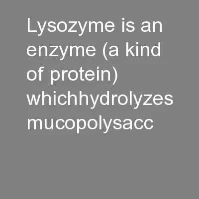 Lysozyme is an enzyme (a kind of protein) whichhydrolyzes mucopolysacc