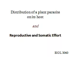 Distribution of a plant parasite