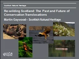 Re-wilding Scotland: The Past and Future of Conservation Tr