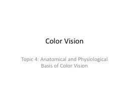 Color Vision