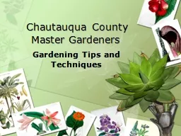 Chautauqua County Master Gardeners
