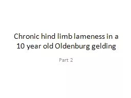 Chronic hind limb lameness in a 10 year old Oldenburg geldi