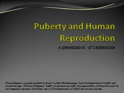 Puberty and Human Reproduction