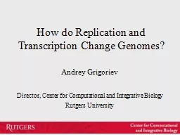 How do Replication and Transcription Change Genomes?