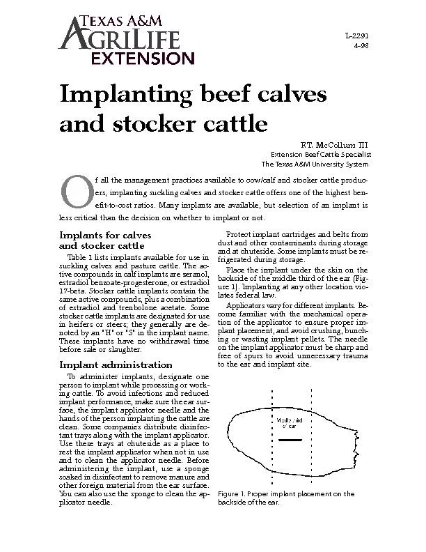 Implanting beef calvesand stocker cattle
