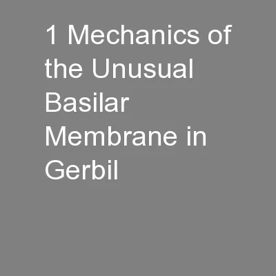 1 Mechanics of the Unusual Basilar Membrane in Gerbil