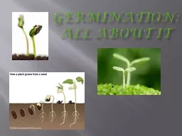 Germination: All About it