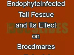 ID Understanding EndophyteInfected Tall Fescue and Its Effect on Broodmares Robert J