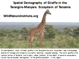 Spatial Demography of Giraffe in the
