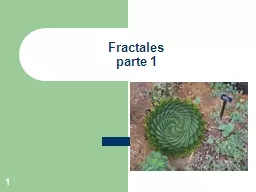 1 Fractales