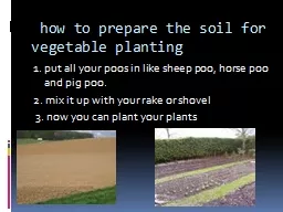 how to prepare the soil for vegetable planting