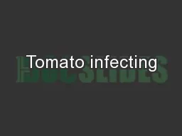Tomato infecting