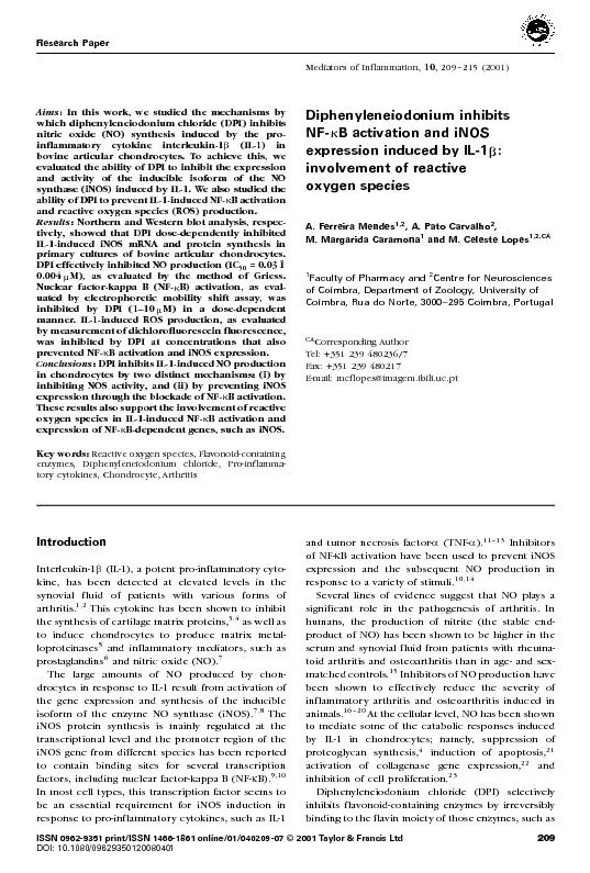 Diphenyleneiodonium inhibitsNF-kB activation and iNOSexpression induce