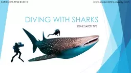 DIVING WITH SHARKS