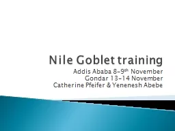 Nile Goblet training