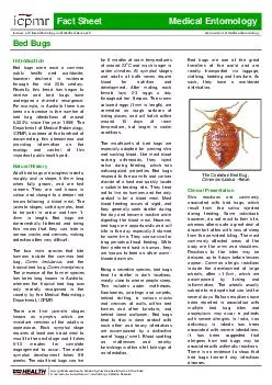 Fact Sheet Medical Entomology In it o C lin ic P an Me l R ar Depa rt ment of M di ca