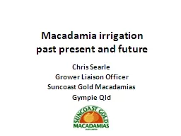 Macadamia irrigation