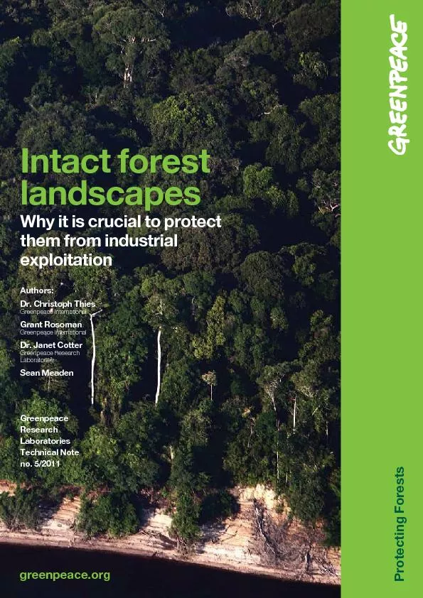 Intact forest landscapes Why it is crucial to protect them from indust
