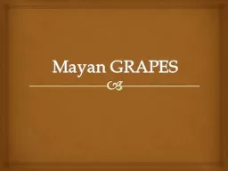 Mayan GRAPES