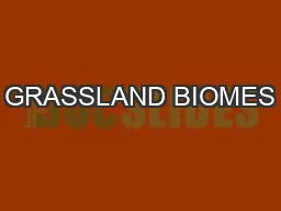 GRASSLAND BIOMES