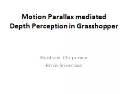 Motion Parallax mediated